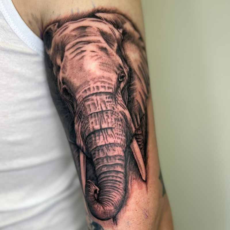 Olifant tattoo